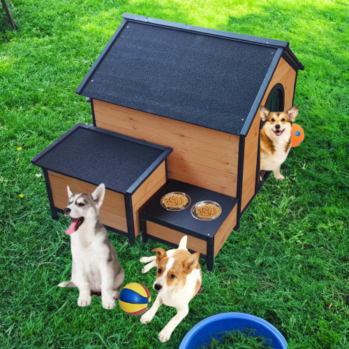 Cuccia per cani - cuccia,