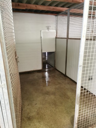 Box cani egibox recinti da - cani, egibox,