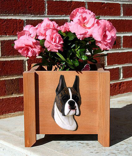 Boxer fioriera legno - boxer,