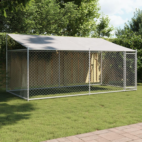 Canile gabbia cani box - canile,gabbia,pr, cani,box