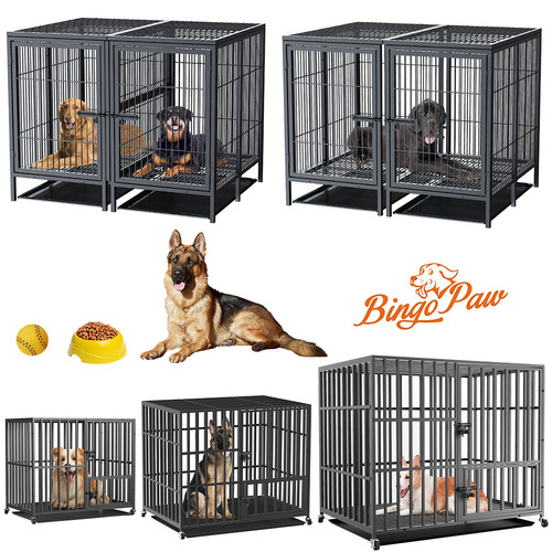 Box per cani xxl - gabbia,